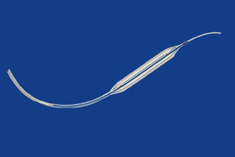 PTCA Balloon Catheters