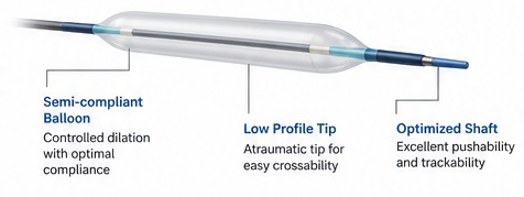 PTA Balloon Catheter